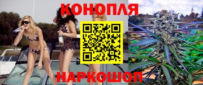 apvp Коммунар