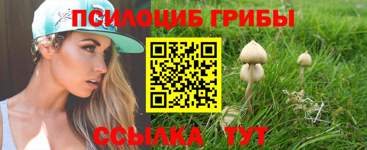 Псилоцибиновые грибы MAGIC MUSHROOMS  Вход с VPN  Щёкино 